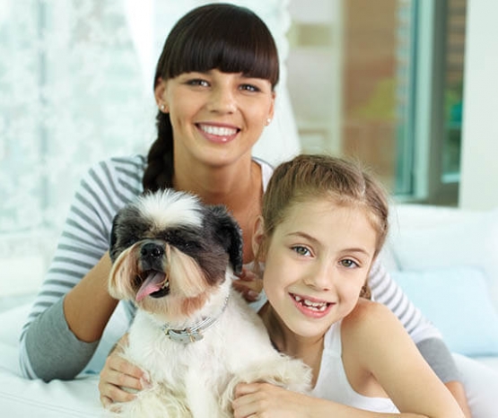 https://www.happys-world.com/wp-content/uploads/2017/04/adopt-555x466.jpg